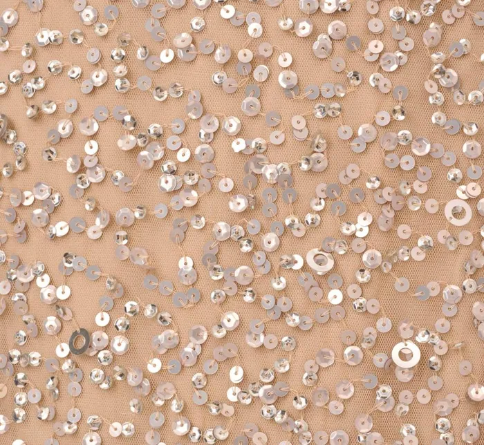 Adrianna Papell Formal Dresses Plus Size Scoop Back Sequin Gown In Champagne 8211 Women