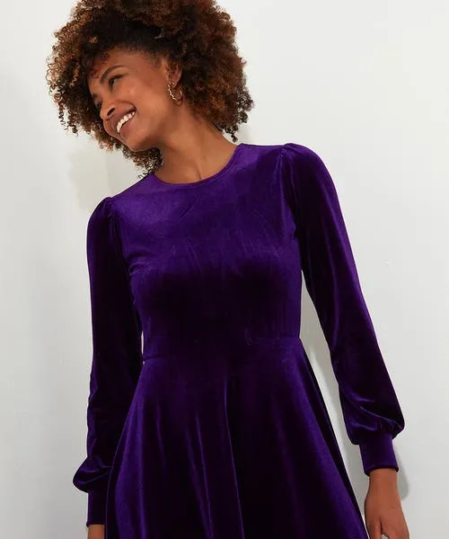 Apparel Petite Collection Joebrowns Etta Velour Dress Teal Apparel Petite Collection Joebrowns Etta Velour Dress Teal