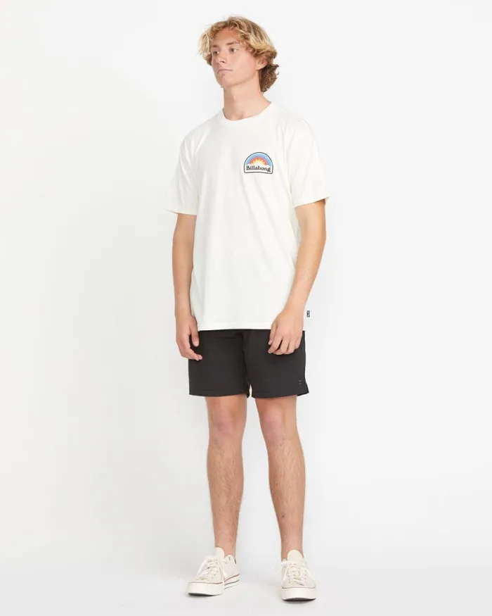 Billabong Shorts Crossfire 18034 Swim Trunks Black 8211 Men Billabong Shorts Crossfire 18034 Swim Trunks Black 8211 Men