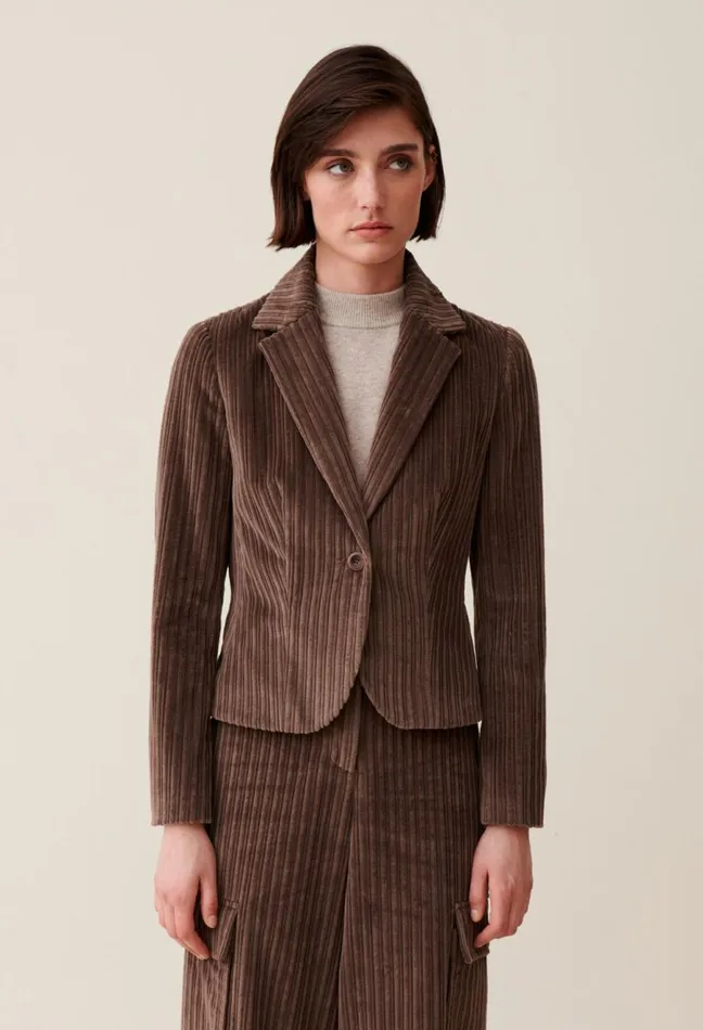 Claudie Pierlot Velvet Fitted Jacket Taupe Women Blazers