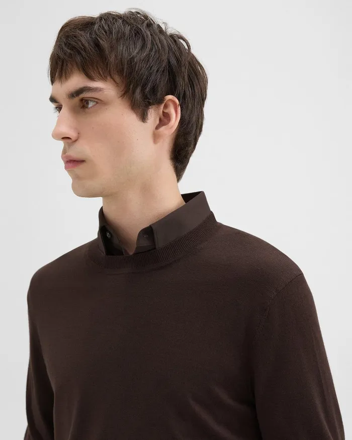 Men Theory Sweaters Cardigans Crewneck Sweater In Regal Wool Hickory
