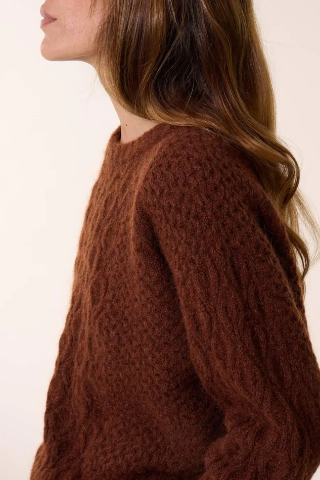 Pulls and Vests Women Leon and Harper Marius Chn Jumper Brown