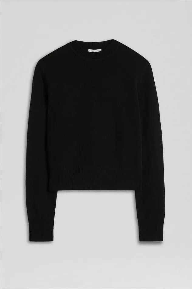 Scanlan Theodore Sweaters Women CASHMERE CREW SWEATER BLACK