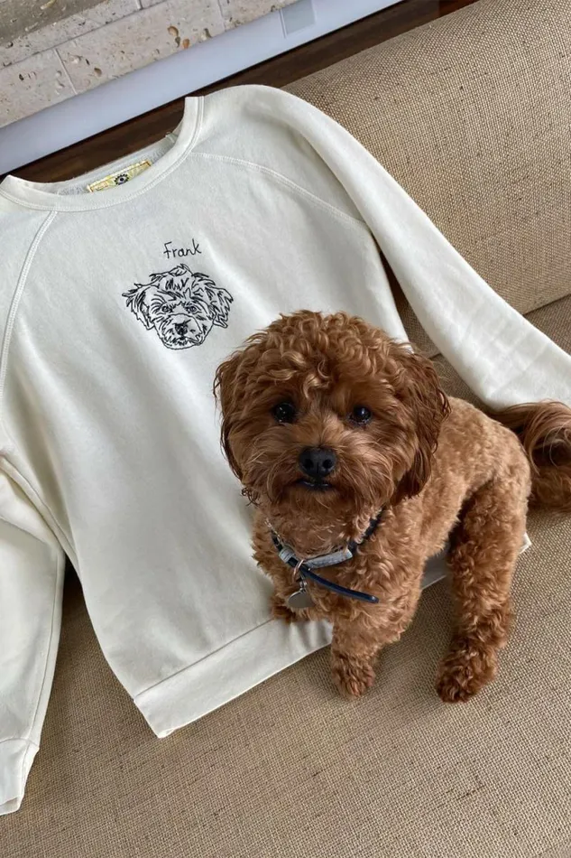 STAUD Custom Clothing CUSTOM X CBONZ SWEATSHIRT Cream 8211 Pet
