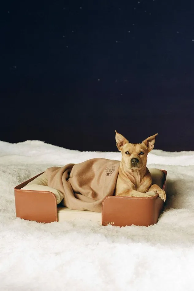 STAUD Pet Accessories BED Cream Tan 8211 Pet