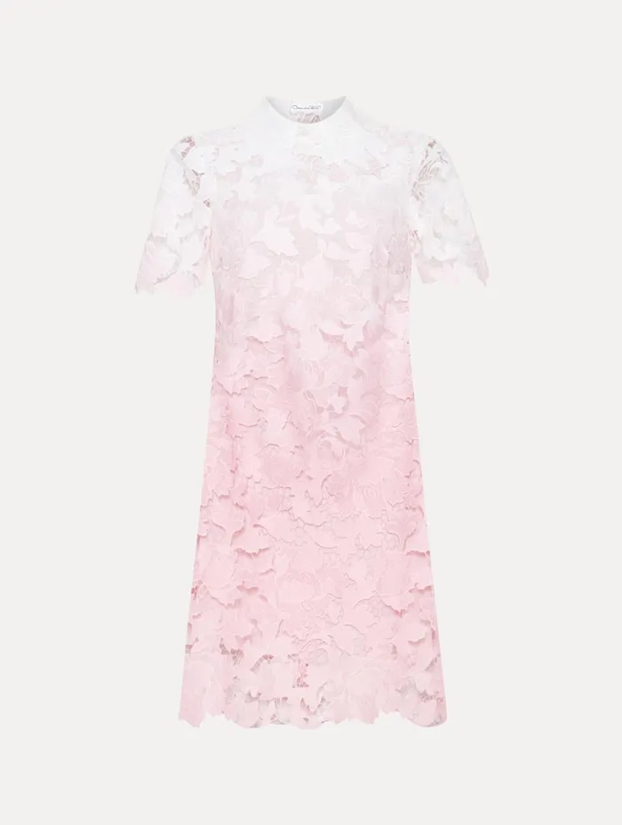 Women Dresses Oscar De La Renta Ombr Peony Guipure Shift Dress Soft Pink