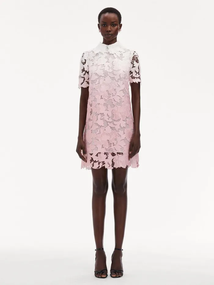 Women Dresses Oscar De La Renta Ombr Peony Guipure Shift Dress Soft Pink