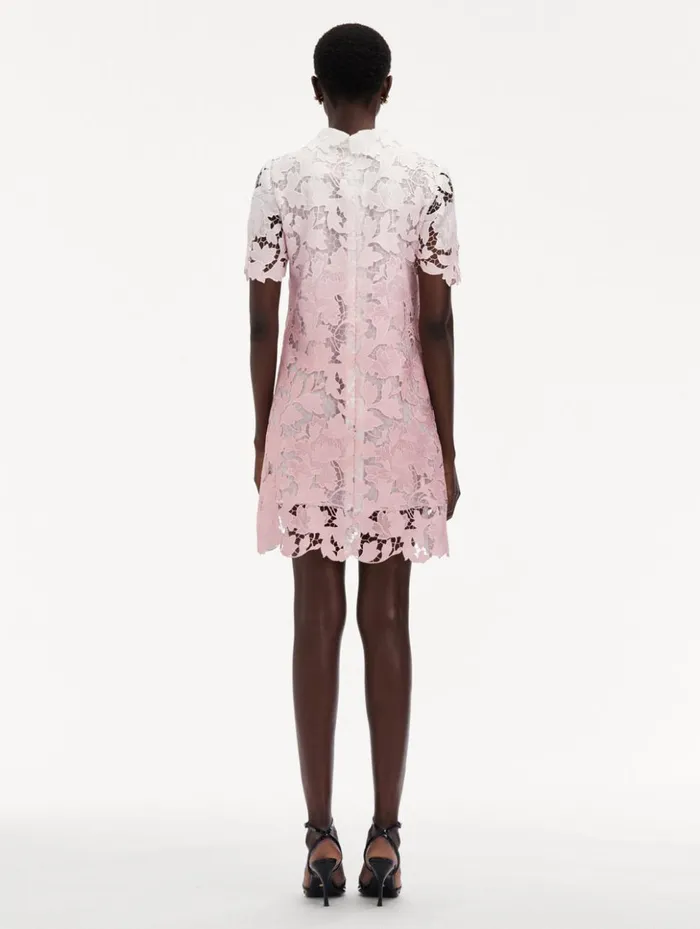 Women Dresses Oscar De La Renta Ombr Peony Guipure Shift Dress Soft Pink