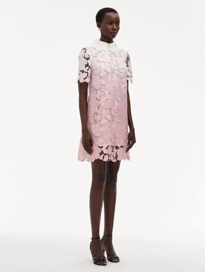 Women Dresses Oscar De La Renta Ombr Peony Guipure Shift Dress Soft Pink