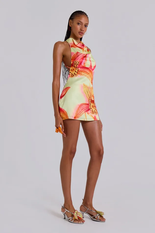 Women Jaded London Lucia Backless Mini Dress With Flower Detail Dresses