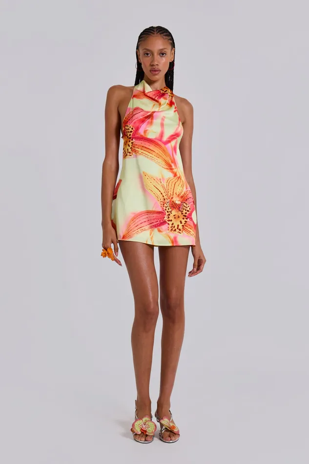 Women Jaded London Lucia Backless Mini Dress With Flower Detail Dresses