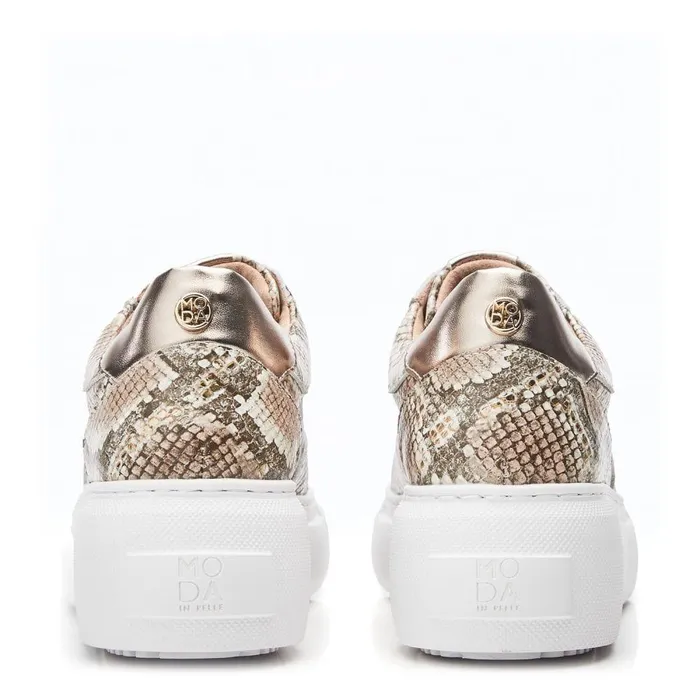 Women Moda In Pelle Chunky Trainers Althea Natural 8211 Gold Snake Print Leather